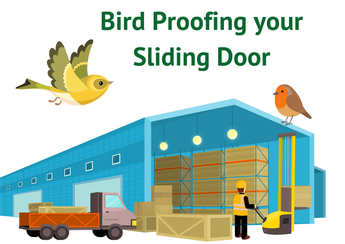 How to Bird-Proof Your Sliding Door: A Guide for Engineers to stop Birds getting through your door!